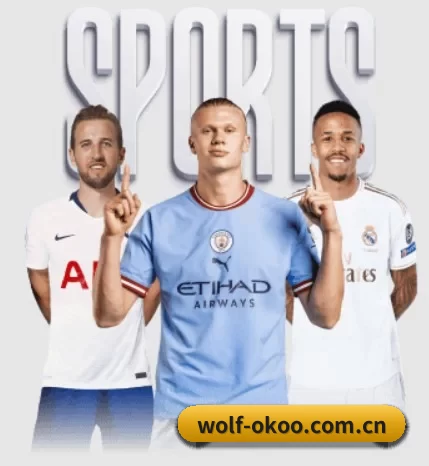 wolf-okoo.com.cn的故事 - 体育资讯内容服务